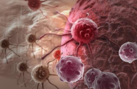 cancer cell