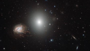 Hubble сделал детальный снимок скопления Волос Вероники